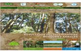EVALUACIÓN NACIONAL FORESTAL - fao. · PDF file3.3 Clasificación de uso de la tierra y tipos de bosque ... Cuadro 15. Estimación de la superficie del país según tenencia de tierra
