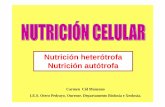 Nutrición heterótrofa Nutrición autótrofacentros.edu.xunta.es/iesoteropedrayo.ourense/dptos/bio/bach_2_bio... · Nutrición heterótrofa Nutrición autótrofa Carmen Cid Manzano