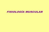 FISIOLOGÍA MUSCULAR - fcn.unp.edu.ar · PDF fileAparato Contráctil del Músculo Liso ... Secuencia de eventos durante la contracción y relajación ETAPAS DE LA CONTRACCION: 1) ...