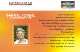 ÍNDICE Datos personales - Emprendedor XXI en Argentina Yoguel CV.pdf · Amsterdam-Palo Alto, 2005 ... El desarrollo de capacidades innovativas de las firmas en un medio de escaso