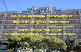Unidad de Cirugía Cardio-Torácica - cba.gov.ar · PDF fileSEGURIDAD EN CIRUGIA CARDIOVASCULAR Unidad de Cirugía Cardio-Torácica ... (AP) — Un “cebrurro”, una insólita cruza