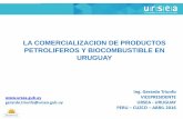 LA COMERCIALIZACION DE PRODUCTOS · PDF filePETROLIFEROS Y BIOCOMBUSTIBLE EN URUGUAY Ing ... las políticas energéticas así como ... otro costo en el que se incurra para importar