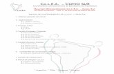 Co.L.E.A. CONO SURcolea.org/public/upload/2016/03/manual-de-funcionamiento-de-CoLEA... · Se concretiza año tras año en Argentina, Chile, Paraguay y Uruguay, ... sin importar su