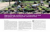 Agricultura urbana: Un impulso a los canales alimentarios ... · PDF fileAgricultura urbana: Un impulso a los canales alimentarios ultracortos. tor se ha centrado en la producción