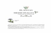 PLANTAS MEDICINALESplantas-medicinales.servidor-alicante.com/docs/Plantas_medicinales... · Plantas medicinales Página 2 de 36 Los datos presentados no son definitivos y esperan