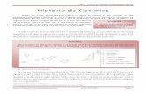 Tema 2: Historia de Canarias. Los aborígenes · PDF filecortes en la roca hechos con instrumentos de piedra mientras que las pinturas se realizaban con pinceles o simplemente con