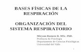 BASES FÍSICAS DE LA RESPIRACIÓN ORGANIZACIÓN · PDF fileFISIOLOGÍA COMPARATIVA DE LA RESPIRACIÓN La respiración externa implica el intercambio de O 2 y CO 2 entre la atmósfera