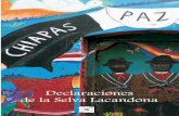 DECLARACIONES DE LA SELVA · PDF fileandante Don Durito de la Lacandona, un escarabajo de atributos quijotescos que se ha convertido en el paladín de la lucha contra el neoliberalismo,