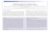 Historia natural y clasificaciones de los meningiomas de ...revmexneuroci.com/wp-content/uploads/2014/05/Nm111-05.pdf · Rev Mex Neuroci 2011; 12(1): 38-49 López Flores G, et al.