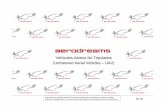 Vehículos Aéreos No Tripulados (Unmanned Aerial Vehicles ... · PDF file• Sistema de navegación de ultima generación • Sistemas de emergencia y búsqueda preprogramados •