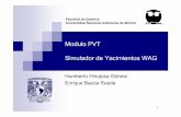 Modulo PVT Simulador de Yacimientos WAGlya.fciencias.unam.mx/computocientifico/archivos/Presentaci%f3n%20... · 3 Características de los yacimientos petroleros Elementos del modelado