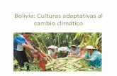 Bolivia: Culturas adaptativas al cambio climático · PDF filevida alternativo al desarrollismo tradicional. Contexto . Tiempo de oportunidad y contradicción . ... Conferencia Mundial