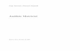 An´alisis Matricial - Iniciodemetrio/Apuntes/Analisis_matricial_I.pdf · Prefacio El an´alisis matricial (AM) es una continuaci´on natural del algebra lineal, pero considerando