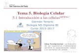 Tema 5. Biología Celular - dpbiologia.weebly.comdpbiologia.weebly.com/uploads/2/1/5/5/21553524/gtp_t5.biología...Idea Fundamental: La evolución de los organismos multicelulares