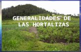 GENERALIDADES DE LAS HORTALIZAS · PPT file · Web view · 2008-04-03Fabaceae (Papilionaceae): Soya, arveja, haba. Solanaceae: Ají, pimiento, Tomate, Berenjena, papa. ARRAIGAMIENTO