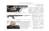 La familia Kalashnikov - · PDF fileLa familia Kalashnikov Dr. C. José Angel Posada Jeanjacques Perito Principal Investigador Titular Profesor Titular En 1997, el Ejército Ruso adoptó