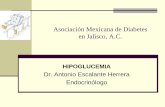 Asociación Mexicana de Diabetes en Jalisco, A.C.fmdiabetes.org/wp-content/uploads/2017/04/Hipoglucemia_Dr.-A... · Insulinoterapia ... Participación del paciente - Adherencia al