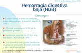 Hemorragia digestiva bajafiles.javier-montero-perez.webnode.es/200000036-5d99b5fd13... · Hemorragia digestiva baja (HDB) Concepto Lesión causal se sitúa en cualquier ... urea/creatinina