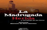 DOSSIER LA MADRUGADA HERIDA - …escuelajulianbesteiro.ugt.org/Documentos de apoyo/DOSSIER LA... · una producción de La Madrugada Herida 3 EL DIRECTOR MARIANO DE PACO SERRANO nació