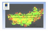Seminario: Microbiología conductos  · PDF fileSeminario: Microbiología de ... (p