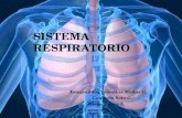 Sistema respiratorio · PPT file · Web view · 2012-06-27introducción. En este trabajo vamos a aprender acerca de las partes del sistema respiratorio, su función y ubicación