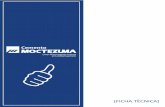 Una Nicaragua nueva en construcción - cmoctezuma.com.nicmoctezuma.com.ni/download.php?file=cmoctezuma-ficha-tecnica.pdf · USOS El Cemento Moctezuma Estructural es recomendado para:
