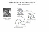 Experimento de Anfinsen (1956-1957) - Apache2 Ubuntu ...ufq.unq.edu.ar/Docencia-Virtual/BQblog/Proteinas IV-SFA.pdf · Plegamiento de proteínas Teoría cinética Para describir la