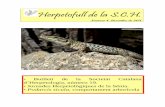 Herpetofull de la S.C.H. -   · PDF file3 Sumari - Editorial pàg 4 - Notícies pàg 5 -8 - Butlletí de la SCH núm. 19 pàg 9 - 11 - Jornades Herpetològiques a la Sénia pàg