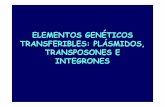 ELEMENTOS GEN ÉTICOS TRANSFERIBLES: PL · PDF filee f g Digestión con Genotipos (nº aislamientos) Secuenciación Hinf I Tamaño (pb) Tipo Integrón. Title Tema 8. Elementos gen