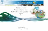 Indicadores Ambientales para la Gestión Integrada del · PDF file · 2011-09-02ambiental de América del Norte 1997 Avances en el desarrollo de indicadores de desempeño ambiental