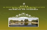 INDICE -  · PDF filemunicipio, tales como el Cinturón Verde de Huércal de Almería. ... -Describir la diversidad de flora que hay en las distintas zonas verdes del municipio