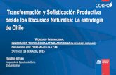 Transformación y Sofisticación Productiva desde los ... · PDF fileProductividad y Crecimiento en Chile ¿Por qué la Caída en Crecimiento de PTF? 1) Relativo agotamiento del modelo