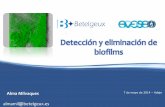 Deteccióny eliminaciónde biofilms - Jornadas · PDF file · 2016-04-21embebidas en una matriz Betelgeux.es gelatinosa y adhesiva de naturaleza polimérica, generada por los propios