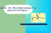 [PPT]Conceptos generales de parasitología · Web viewCurso de Microbiología y parasitología Amebas de vida libre Naegleria fowleri: Meningoencefalitis amebiana primaria (M AP).