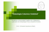 “Osteología Columna Vertebral” - anatomiahumana.ucv.cl 2009/ppt/LAB COLUMNA EFI 09.pdf · “Osteología Columna Vertebral” Pontificia Universidad Católica de Valparaíso