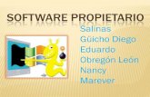 SOFTWARE PROPIETARIO - comunidad.ingenet.com.mxcomunidad.ingenet.com.mx/ingjacquez/files/2010/10/SOFTWARE-PRO... · V. Ventajas & Desventajas VI. Características ... Autodesk y Macromedia.