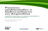 Pasivos ambientales e hidrocarburos en Argentina · PDF filenumerables pasivos ambientales de la explotación ... las cuales ven en el avance de la industria petrolera sobre sus ...