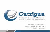 Especificaciones de puertos - Cutrigua | Consejo de ... · PDF file• Al Rostro de Muelle: ... • Cuenta con 3 Grúas STS y 5 Grúas de patio RTG • Implementación de un Sistema