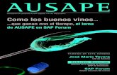 · PDF fileSAP BPC 10.1 adaptándose a nuevos escenarios AL HABLA CON LOS ASISTENTES A LOS GTs 42 Entrevista a Miguel Ángel Gámez Latorre, de Orange España