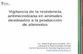 Vigilancia de la resistencia antimicrobiana en animales ... · PDF fileMECANISMOS DE RESISTENCIA ... ANTIBIOTICOS Dispersion de heces y abonos Animales ... moleculares para identificar
