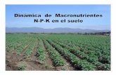 Dinámica de Macronutrientes N-P-K en el suelo · LIXIVIACION INMOVILIZACION POR EL SUELO ... M.O y N de la biomasa microbiana, de 5 suelos con distinto manejo, muestras obtenidas