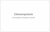 Clonorquiosis - Departamento de Parasitología de los...Géneros: Clonorchis sinensis Distribución Geográfica: Sudeste asiático (China, Japón, Malasia, Corea, Singapur, Taiwán,