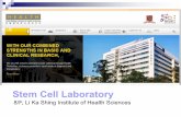 Stem Cell Laboratory - The Chinese University of Hong Kongs lectures/LiKS Ste… ·  · 2016-05-10Buffer Zone ISO 8 3,520,000 832,000 29,300 Gown-up ... Preparation Lab. Cleanroom