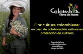 Floricultura colombiana - croplifela.org · fertilizantes Sector material vegetal Sector servicios logísticos Clientes:-Importadores -Mayoristas-Supermercado - Minorista - Consumidor