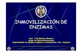 INMOVILIZACIÓN DE ENZIMAS - webs.ucm.eswebs.ucm.es/info/btg/personales/jmsanchez/00_INMOVILIZACION... · ESQUEMA DE REACCIÓN 90.2.- ENZIMA Y MICROORGANISMO 90.3.- TIPO DE SOPORTE