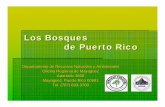Bosques de Puerto Rico - academic.uprm.eduacademic.uprm.edu/gonzalezc/HTMLobj-182/bosquesdepuertorico.pdfLos Bosques de Puerto Rico Departamento de Recursos Naturales y Ambientales