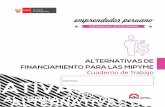 Cuaderno de Trabajo - Alternativas de Financiamiento para …emprendedorperuano.pe/links/img/Alt... ·  · 2016-01-20Cuaderno de Trabajo - Alternativas de Financiamiento para las
