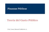 Teoría del Gasto Público - Finanzas Públicas - Home · Bienes Públicos y Bienes Privados Bienes Públicos Puros Poseen 2 características: Finanzas Públicas Prof. Juan M. Calderón