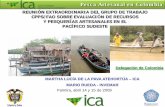 REUNIÓN EXTRAORDINARIA DEL GRUPO DE …cpps.dyndns.info/cpps-docs-web/direconom/faocpps/data/DOCUMENTOS...pesca artesanal en colombia reuniÓn extraordinaria del grupo de trabajo