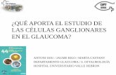 ¿quÉ Aporta El Estudio De Las CÉlulas Ganglionares · ¿quÉ aporta el estudio de las cÉlulas ganglionares en el glaucoma? antoni dou / jaume rigo / marta castany departamento